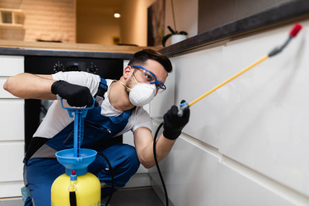 Best Flea Control Services  in Casper, WY