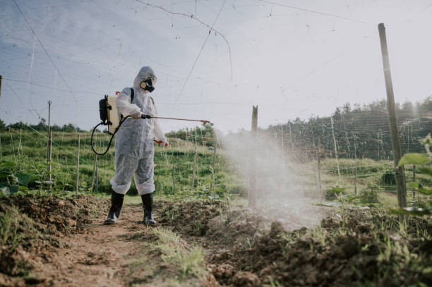 Best Ant Control Services  in Casper, WY