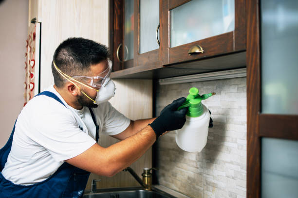 Best Local Pest Control Services  in Casper, WY