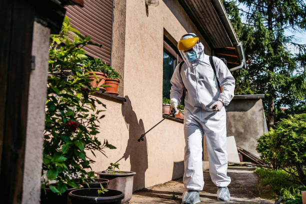 Best Termite Control Services  in Casper, WY