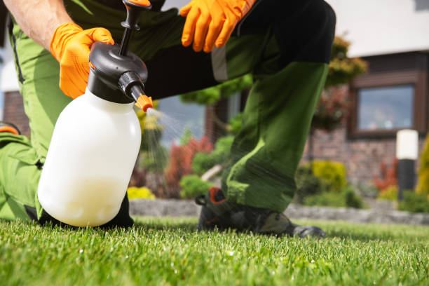 Best Best Pest Control Companies  in Casper, WY