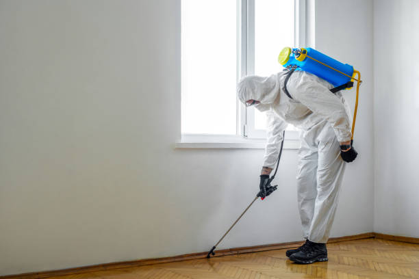 Best Pest Control Treatment  in Casper, WY