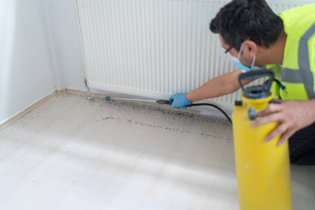 Best Pest Control for Restaurants  in Casper, WY