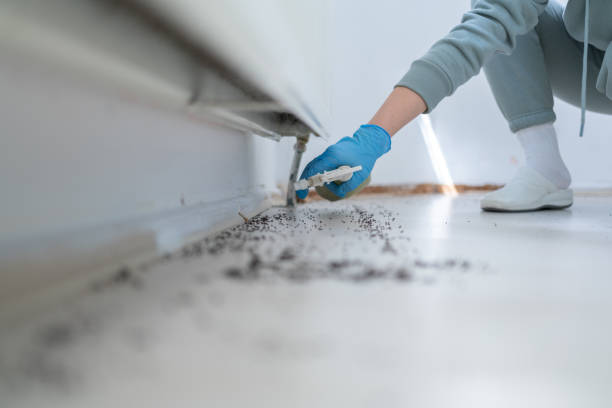 Professional Pest Control in Casper, WY